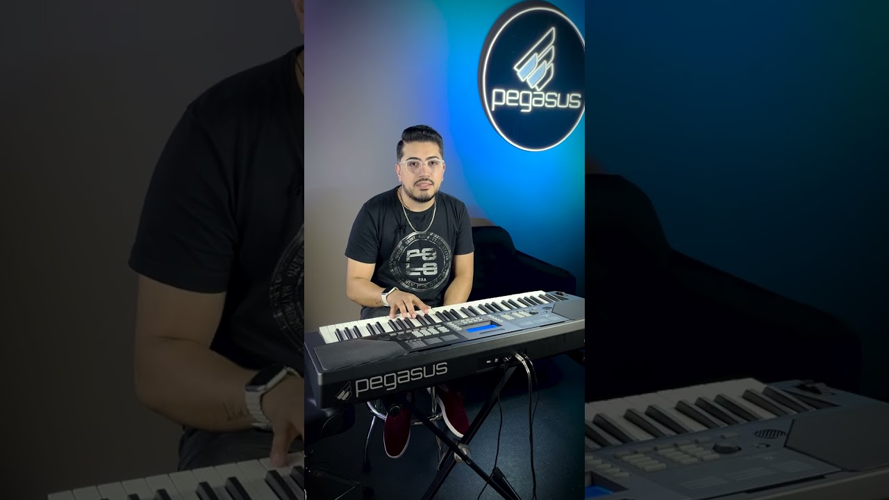 MANUAL PEGASUS P222 - parte 2