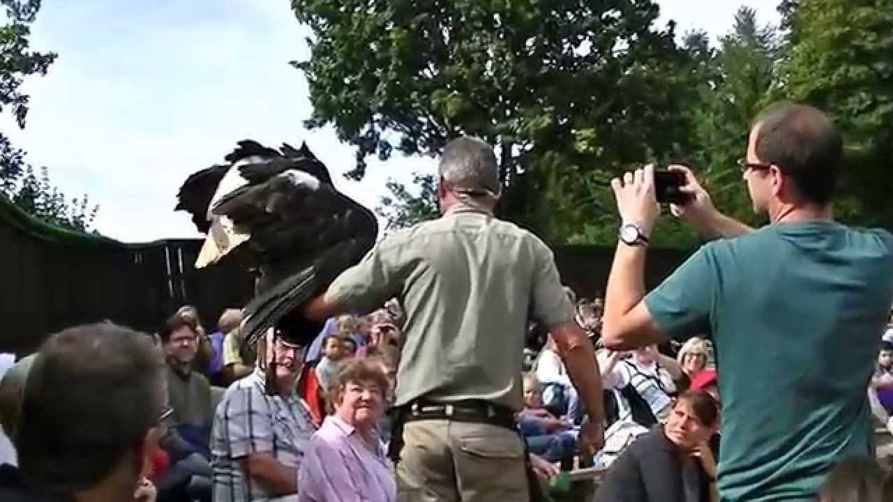 Schwarzwald - Vogelpark Steinen