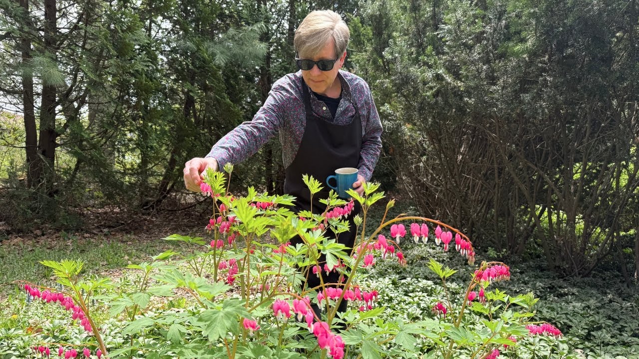 Spring Garden Tour + Pasta Primavera and Homemade Garlic Bread