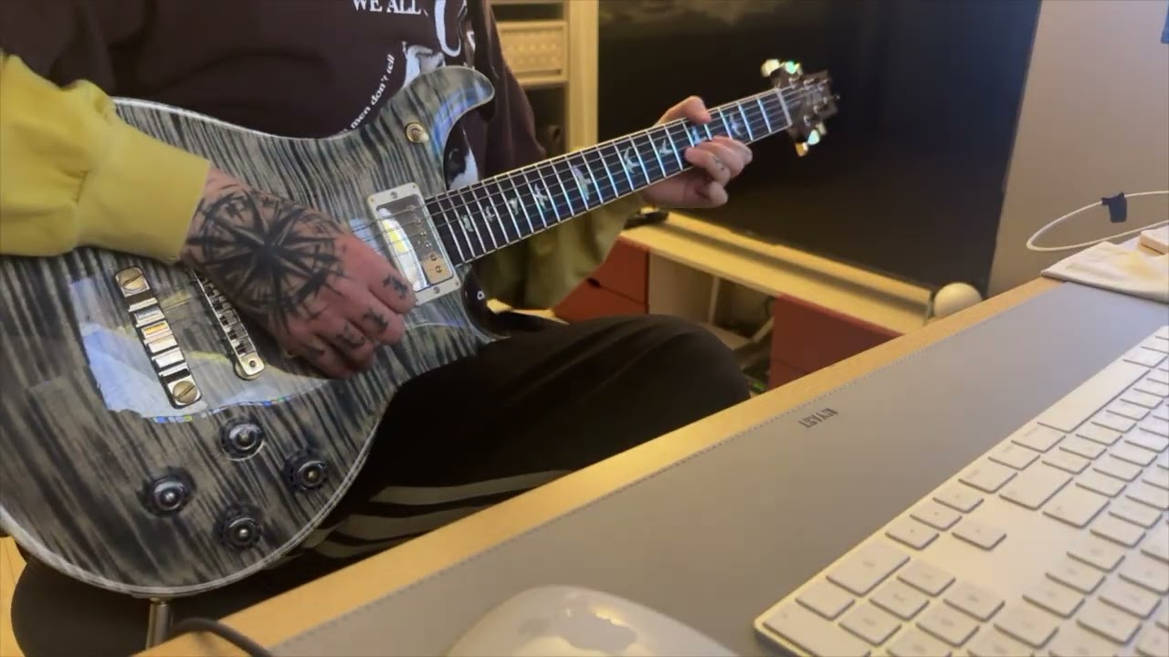 🎸