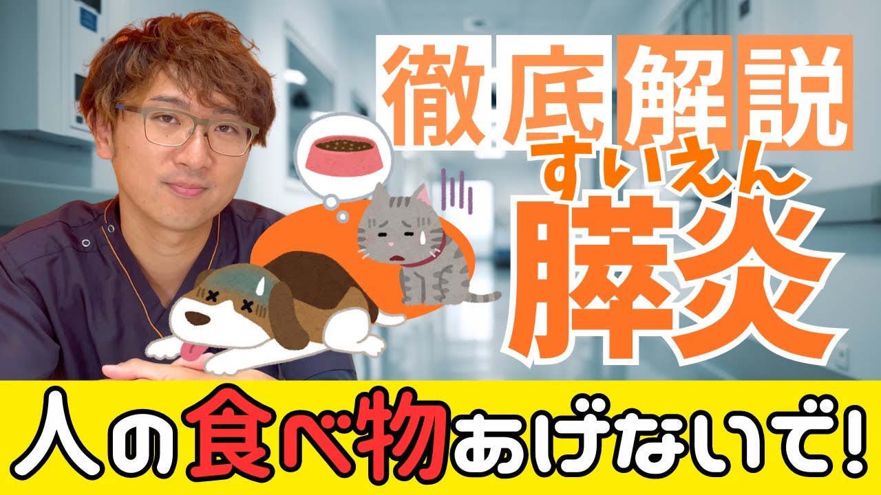 【犬猫の病気】人間の食べ物あげていませんか？｜膵炎