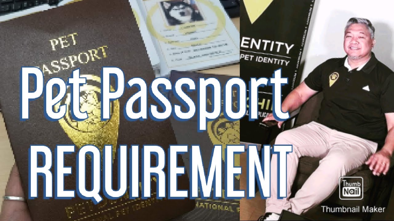 Pet Passport Requirement