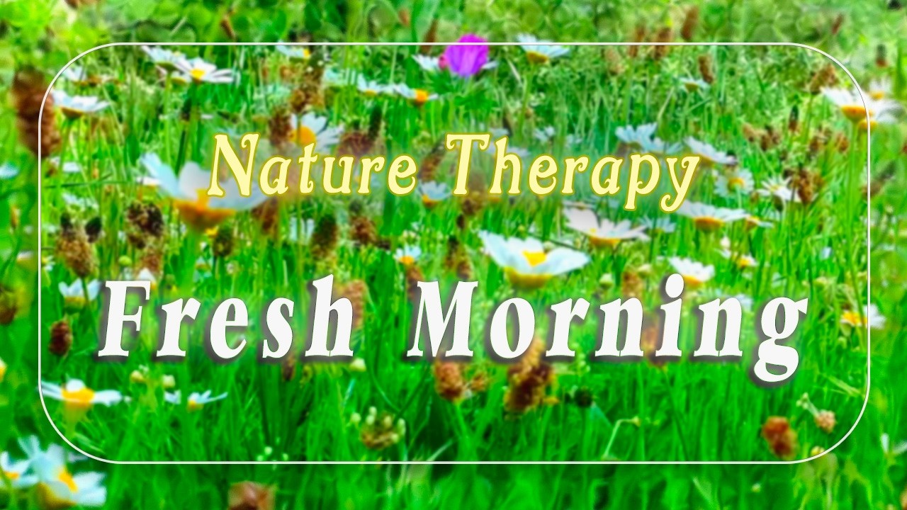 Relaxing Nature Ambience Meditation 🌼GOOD MORNING SPRING🌼Healing Nature Sounds in a Flowery Meadow#3