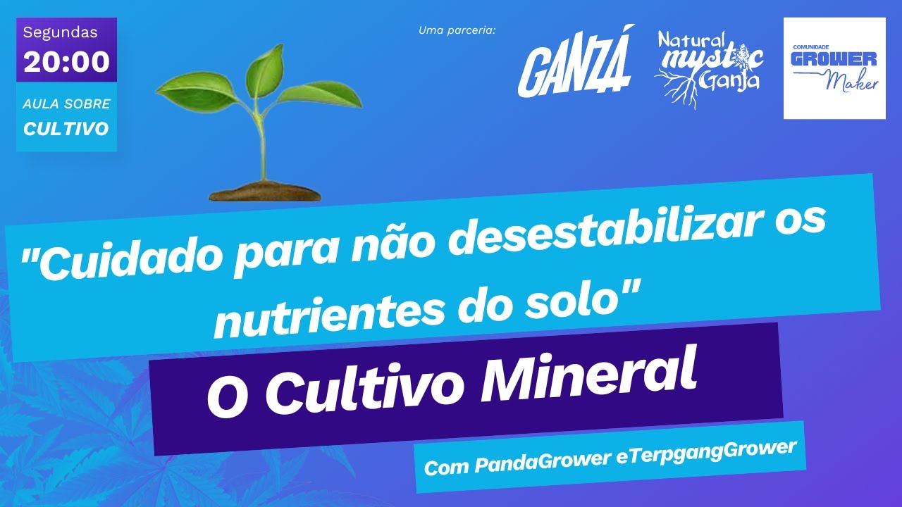 Propor&ccedil;&otilde;es, Cuidados, Volume de Rega e a Alimenta&ccedil;&atilde;o no Cultivo Mineral