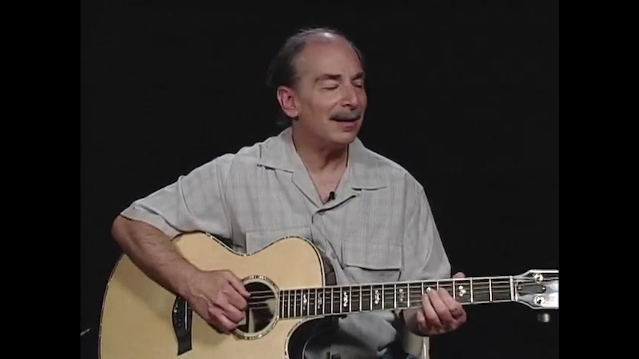 Artie Traum performs 