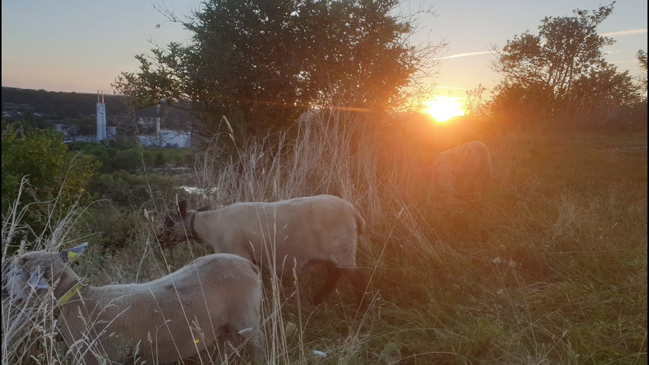 Voir le soleil se lever sur Les Mureaux