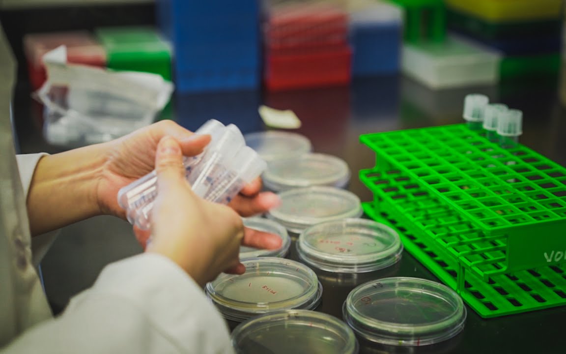 Engineering biology