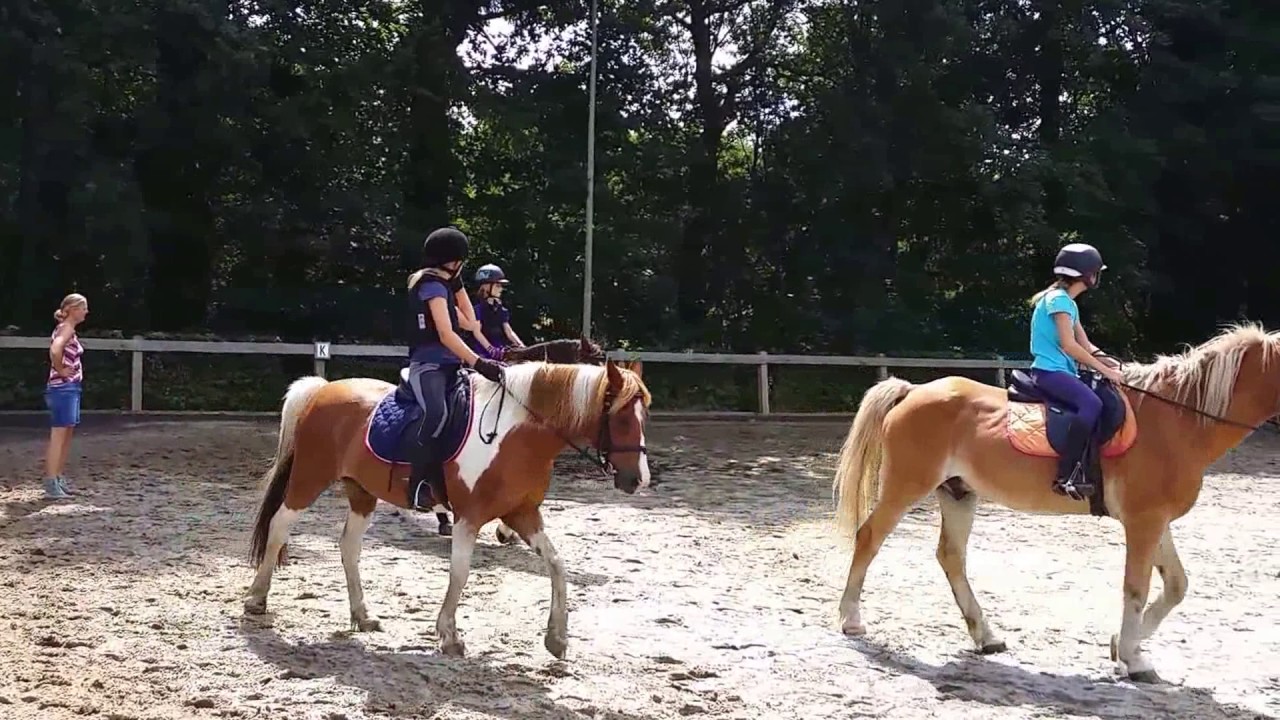 Paardenavonturen op vakantie!