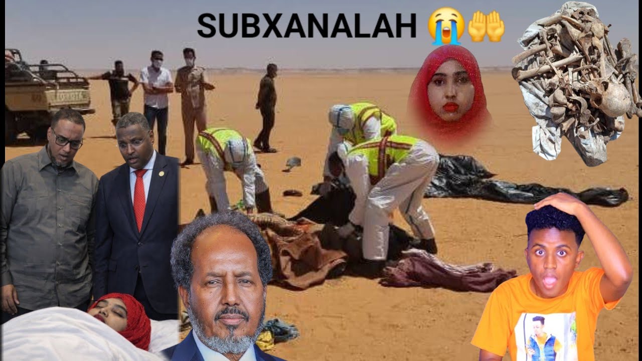 DEG DEG MEYDKA IKRAAN TAHLIIL OO LA ISAGOO LAFO NOQDAY