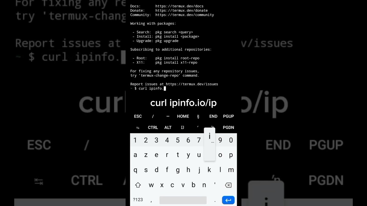 Obtenir des informations sur une adresse IP de mani&egrave;re simple. #cybersecurity #termux