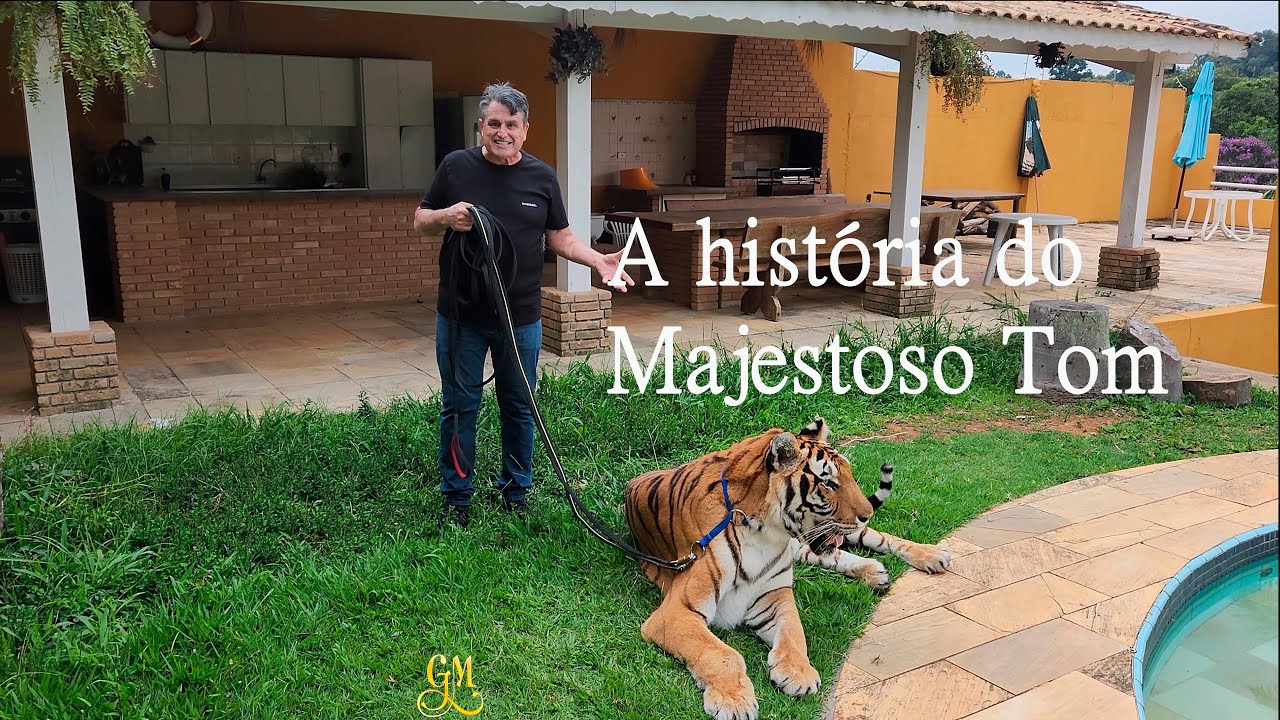A História do Tigre Tom