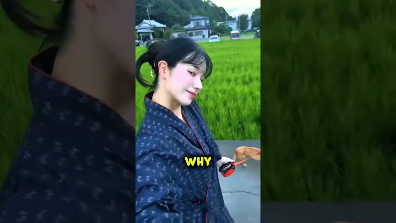 Why Japan Is Desperate for Indian Immigrants Right Now 🇯🇵🇮🇳