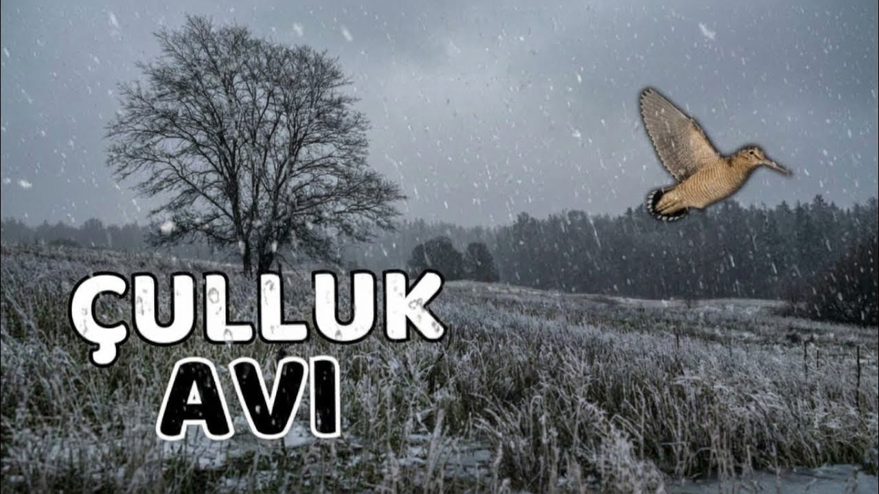 Çulluk Avı | Jet Sahada, Tempo Zirvede