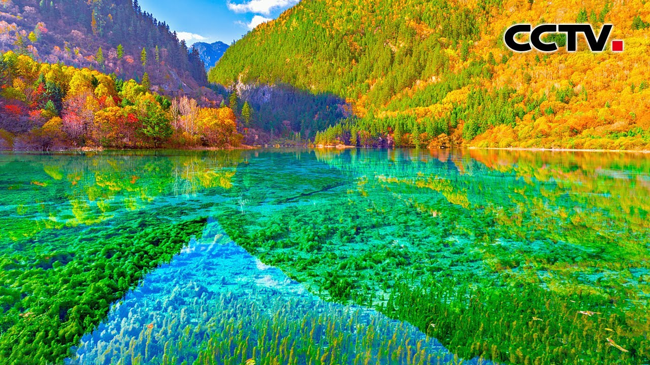 九寨归来不看水！1分钟带你看九寨沟的美有多绝 | CCTV