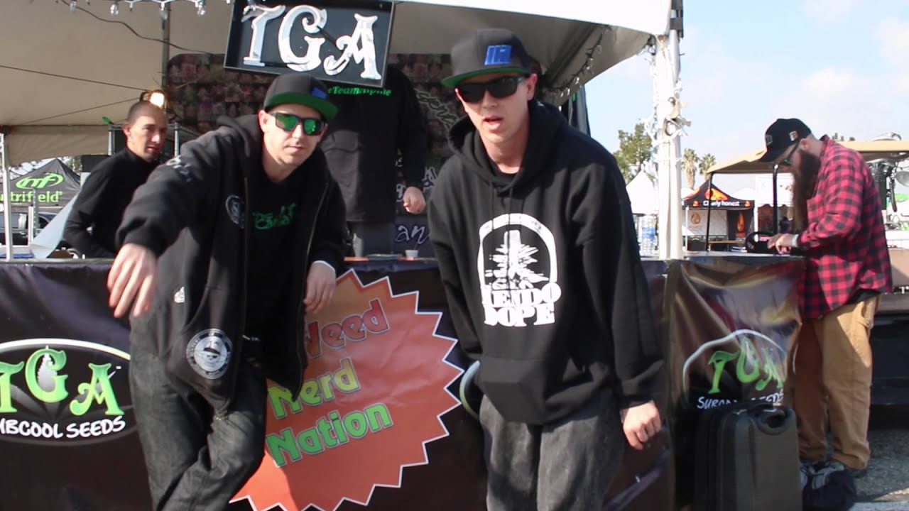 TALES OF A DOPER 14: High Times So Cal Cannabis Cup 2016