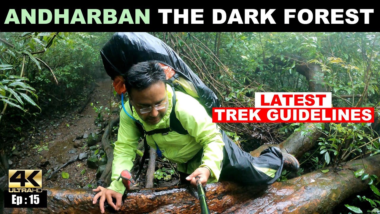1️⃣5️⃣ Andharban Dark Forest trek | Latest changes in trek & entry guidelines | Sahyadri trek solo
