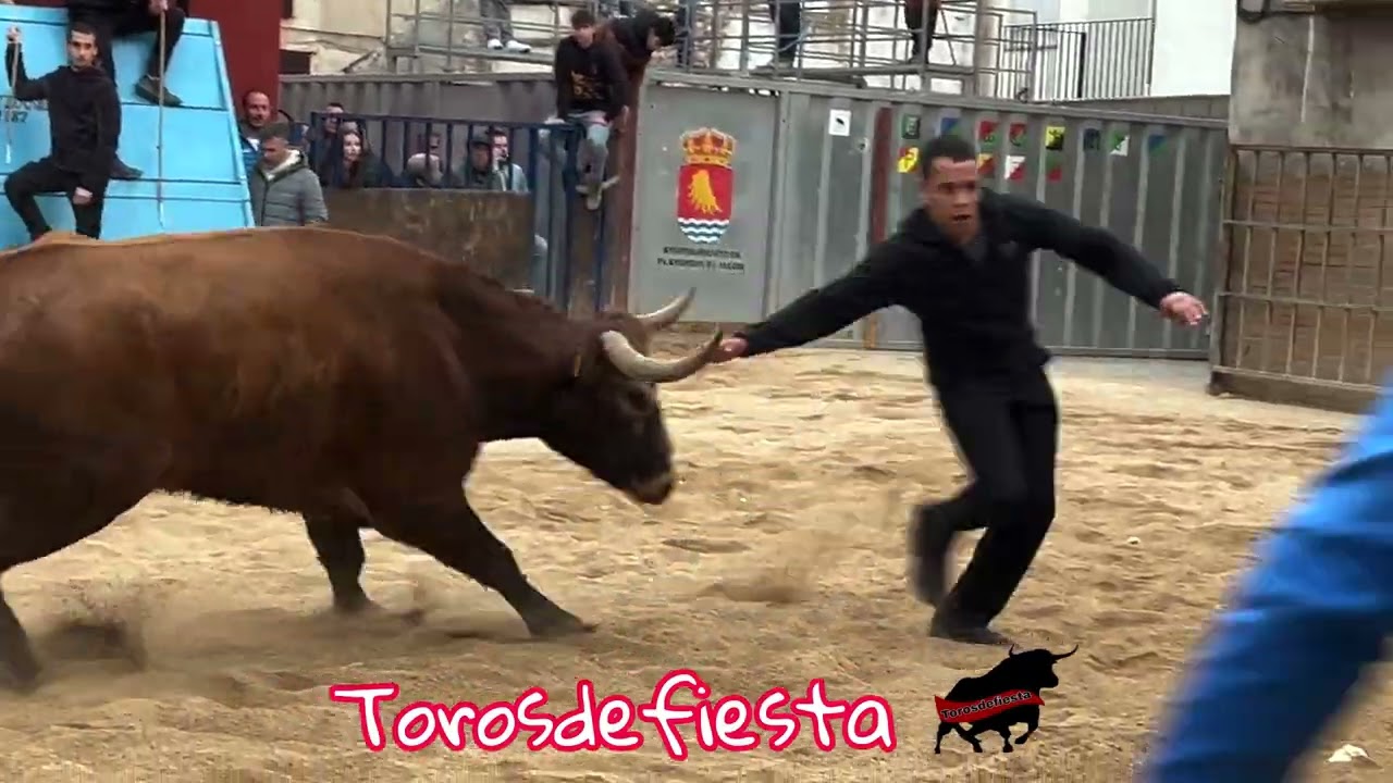 Plasencia de Jalón Z Ganadería El Ancla Sábado tarde