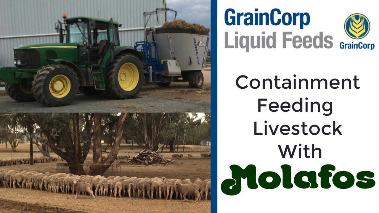 Containment Feeding Livestock