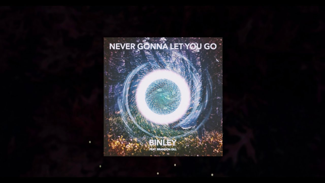 Never Gonna Let You Go by Binley Feat. Brandon Gill