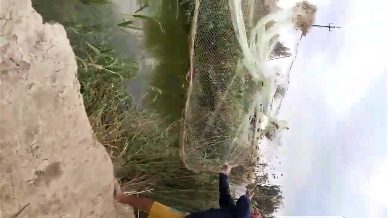 صيد السمك بلسليه معه علوان السماج
