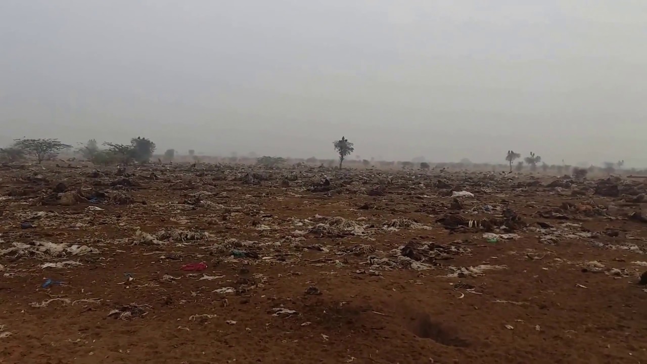 Jorbeer Vulture Habitat