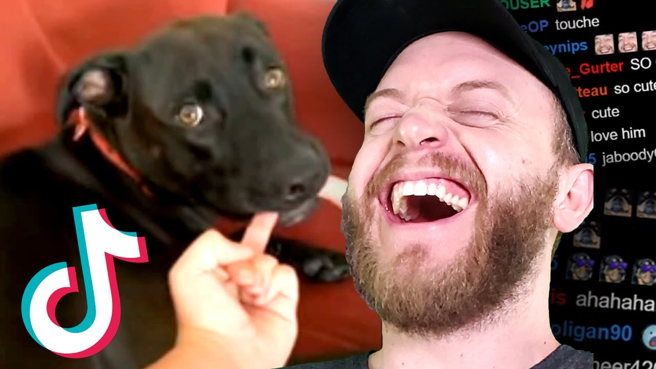 Jaboody Reacts to Unexpected MEMES