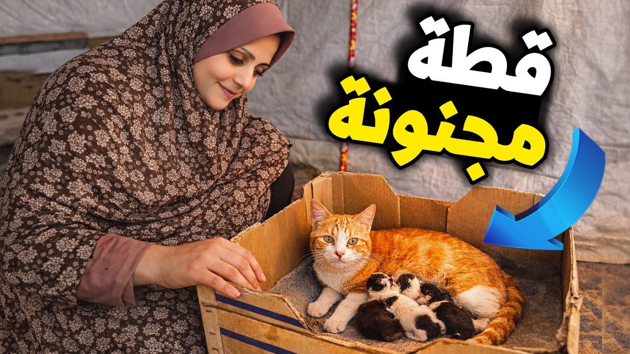 قطة في خيمتنا 😿 اللي عملته صدمنا !!😳