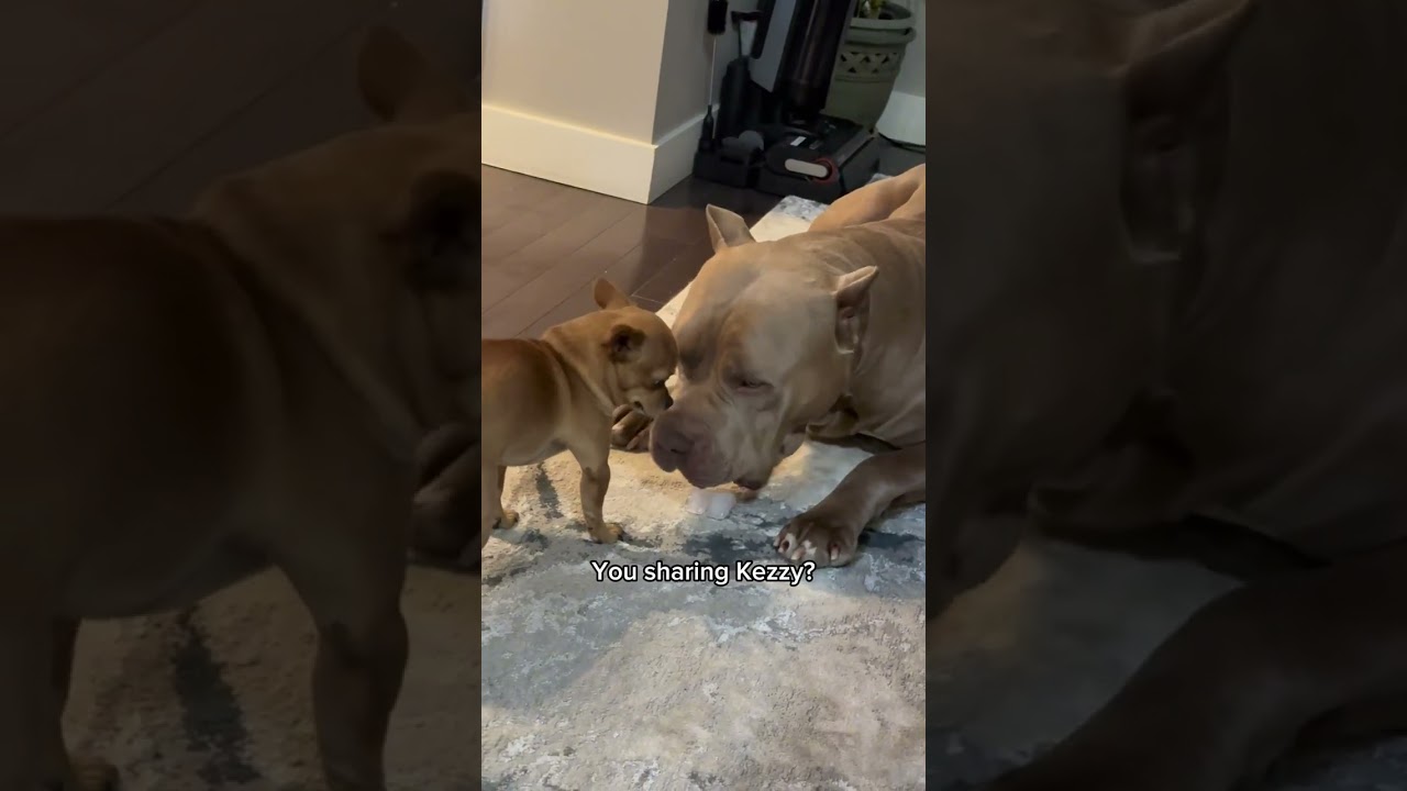 Milton & Kezler sharing ice cubes 🧊