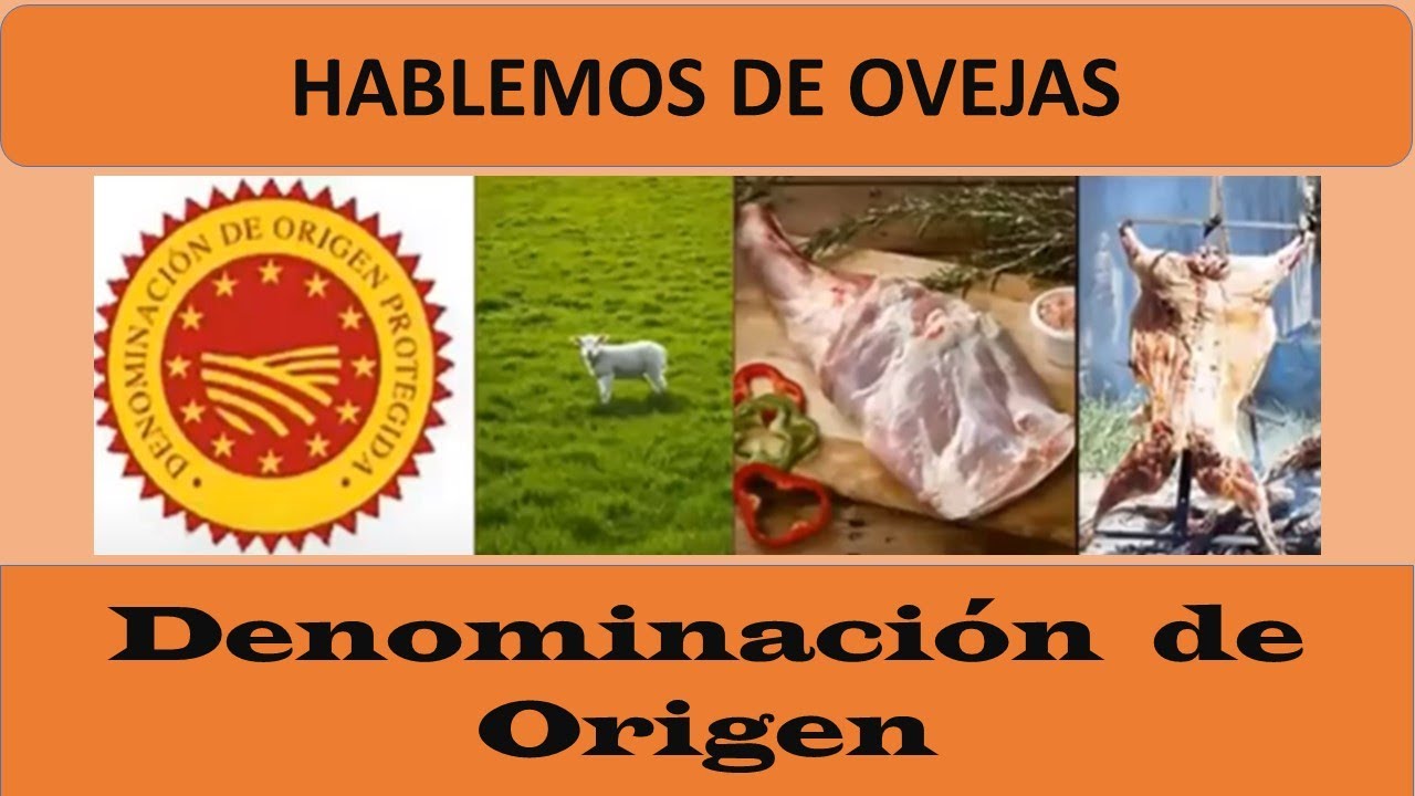Corderos con Denominación de Origen: La Carne que Vale su Peso en Oro