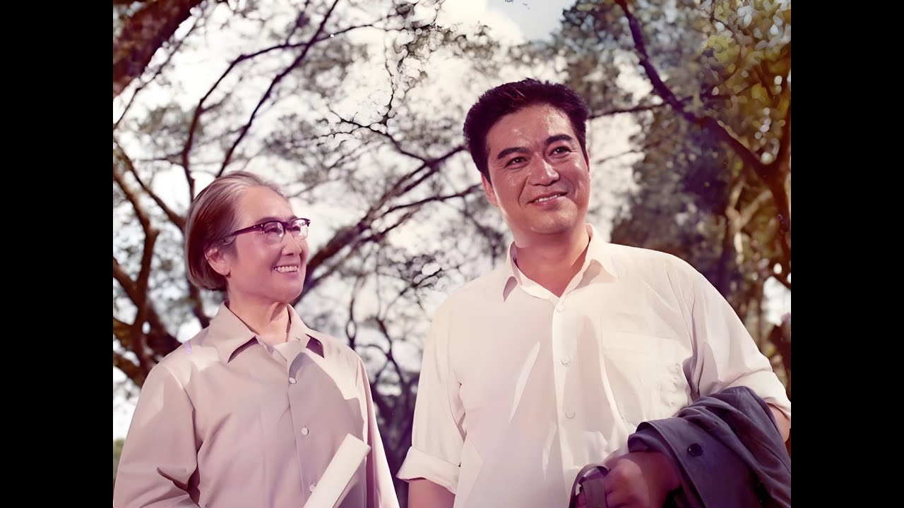 《反击》黑白校色1080P 6M码率 字幕未精修