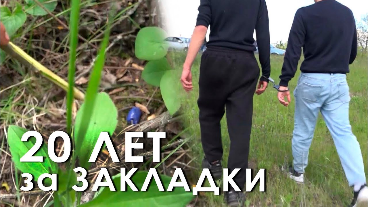 20 лет за закладки