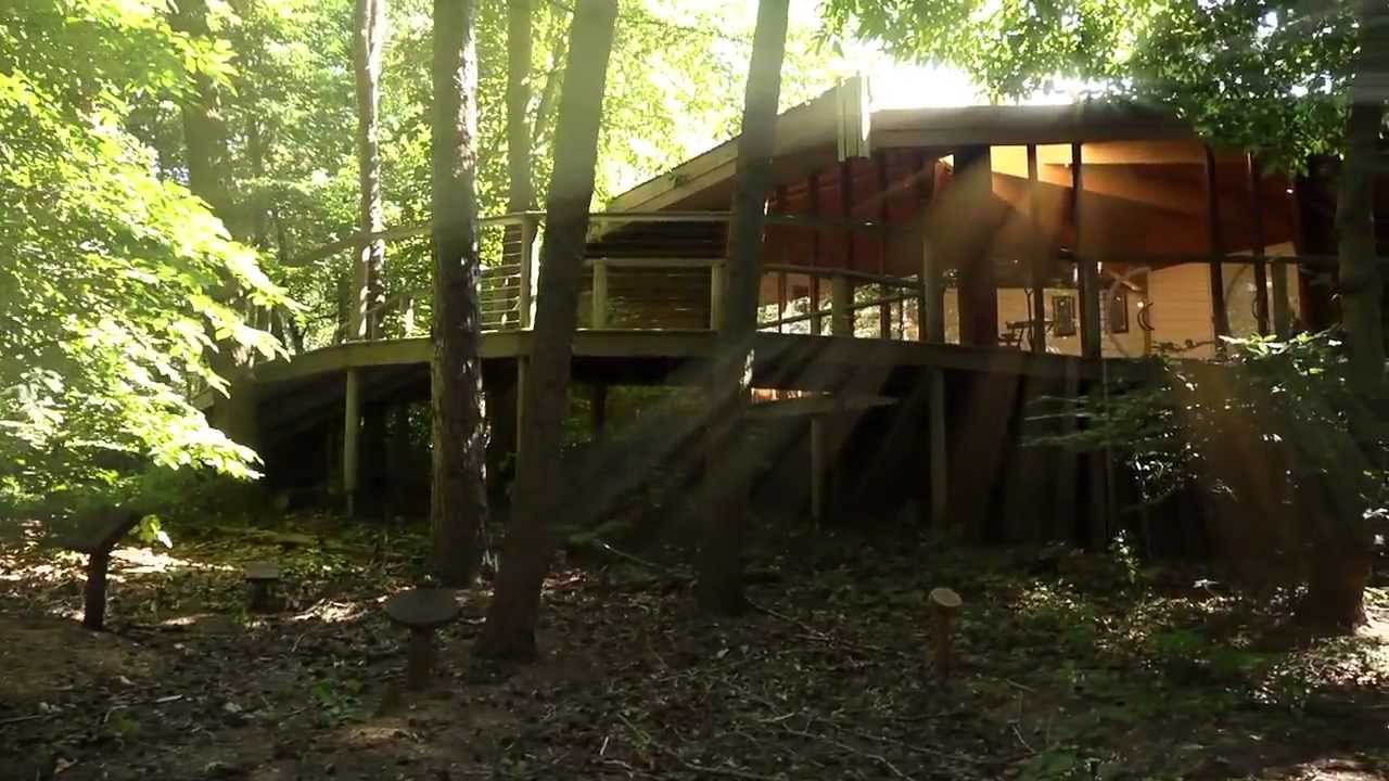 Colney: Film tour of the park