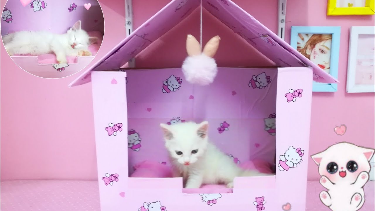 طريقه عمل بيت للقطه من الكرتون How to make a cat house