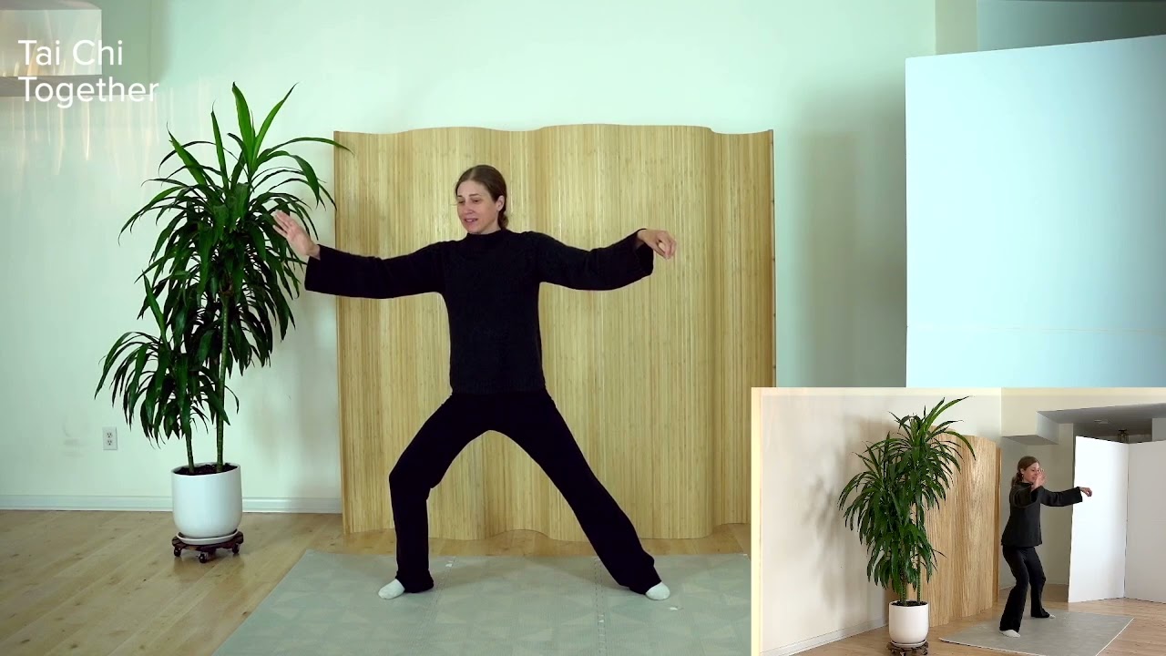 3   Beginning of Chen Style  Third Tutorial   Six Moves
