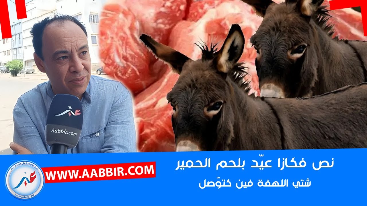 بعد تهافتهم على اللحوم او الكفتة قبل العيد.. نص فكازا عيّد بلحوم الحمير.. شتي فين كتوصل اللهفة!!