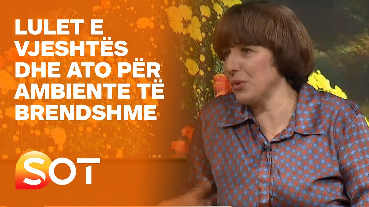 Lulet e vjeshtës dhe ato për ambiente të brendshme - SOT