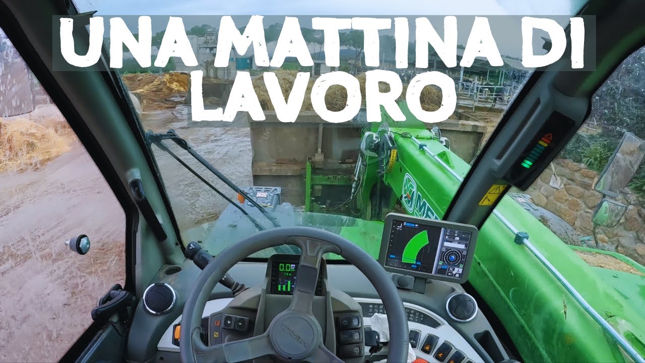 Pioggia e letame