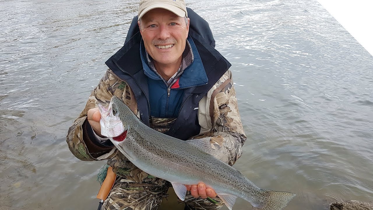 Boatless Angling for Steelhead