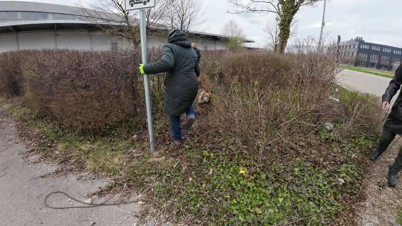 Helga 2  Trail 30 03