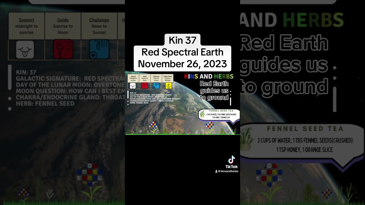 #Kin37 # redspectralearth #lawoftime #timeisart #tzolkin #144000 #tzolkinmaya #starseed #news