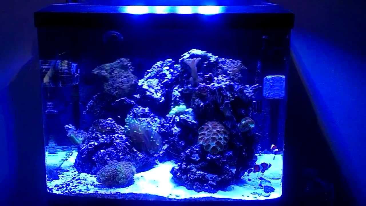 New Toys