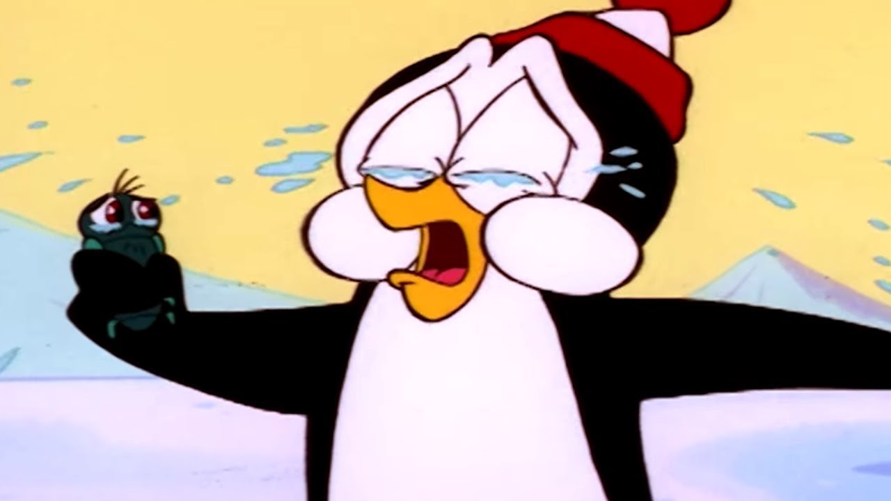 Chilly Willy en Espa&ntilde;ol 🐧Carnada y Anzuelo - Capitulos completos 🐧Dibujos Animados
