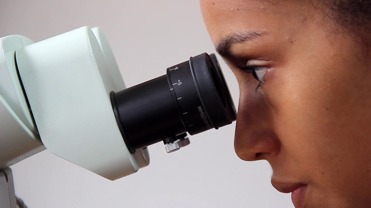 Янгамби: Партнерства, наращивание потенциала и предпринимательство для устойчивого развития ландш...