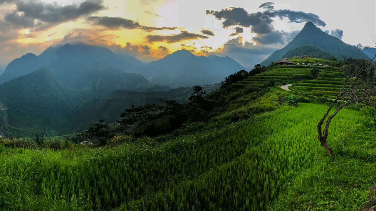 Sapa district (Hoàng Liên National Park - Vietnam) 4K drone footage