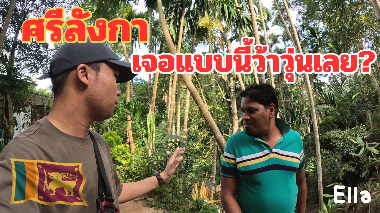 🇱🇰[EP.8] เที่ยวศรีลังกาคนเดียว ที่พักคืนนี้ ทำเอาผมว้าวุ่นเลย | Just Pai Tiew X Sri Lanka