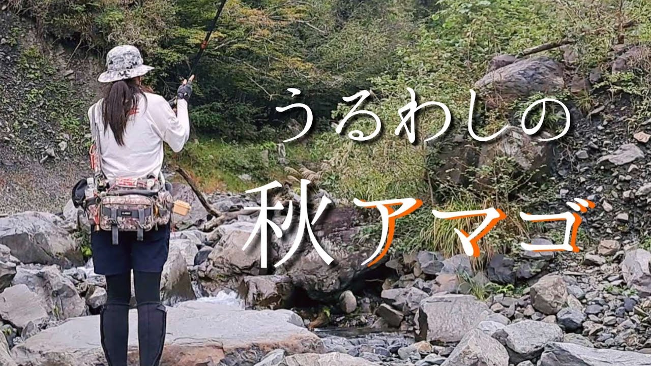 渓流釣りラスト釣行！輝くオレンジの極上アマゴ