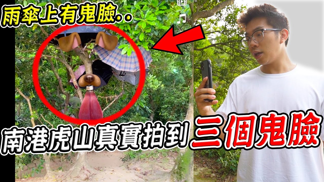 【都市傳說】挑戰用狗狗濾鏡在南港虎山測鬼，山上竟拍到三個鬼臉？！頻道目前最毛的一集【希露弟弟啃雞腿】比熊 貴賓 Bichon Frise Poodle