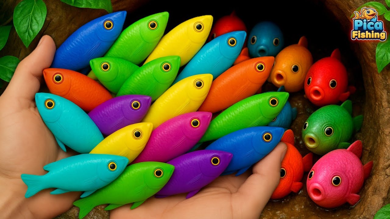 I got beautiful colorful ornamental fish in my yard, guppies, koi, glowfish, goldfish, blackfish