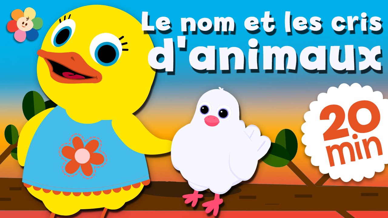 Abeille, perroquet, chouette et bien d’autres ! | Dessins animés pour enfants par BabyFirst