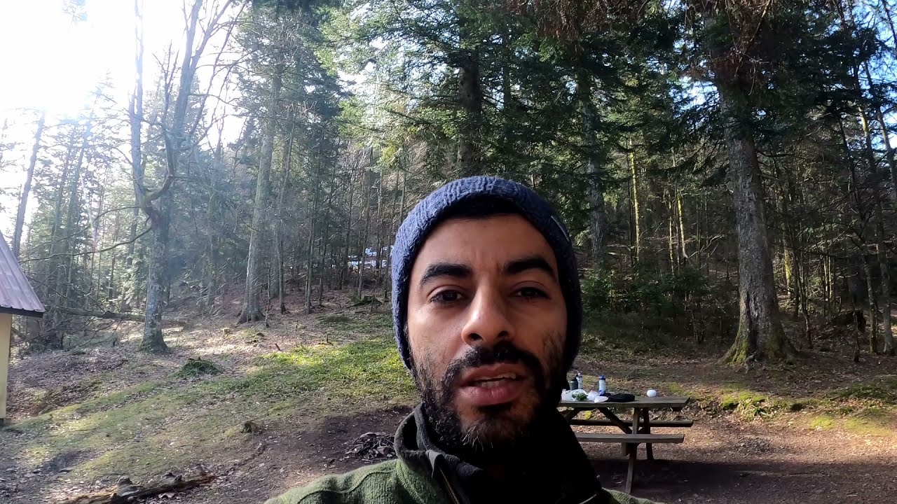 vosges Forest (Massif du grand ventron)/   في فرنسا vosges رحلة 5 بجبال